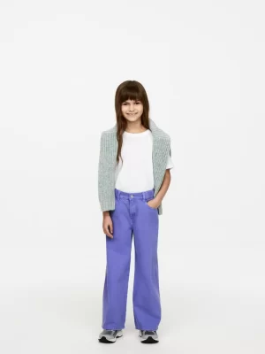 Pantalons Et Shorts | Jeans-ARKET Pantalon large en jean Violet